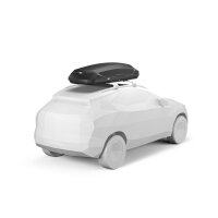 Thule Pulse 2 L