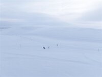 Thule Chariot 2 Cross-Country Skiing Kit Langlaufset