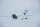 Thule Chariot 2 Cross-Country Skiing Kit Langlaufset