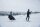 Thule Chariot 2 Cross-Country Skiing Kit Langlaufset