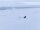 Thule Chariot 2 Cross-Country Skiing Kit Langlaufset