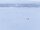 Thule Chariot 2 Cross-Country Skiing Kit Langlaufset